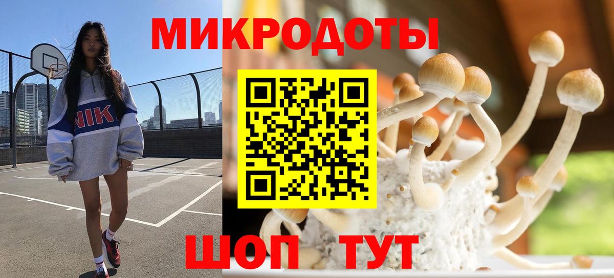 Менделеевск  Галлюциногенные грибы Psilocybe  Вход с VPN 